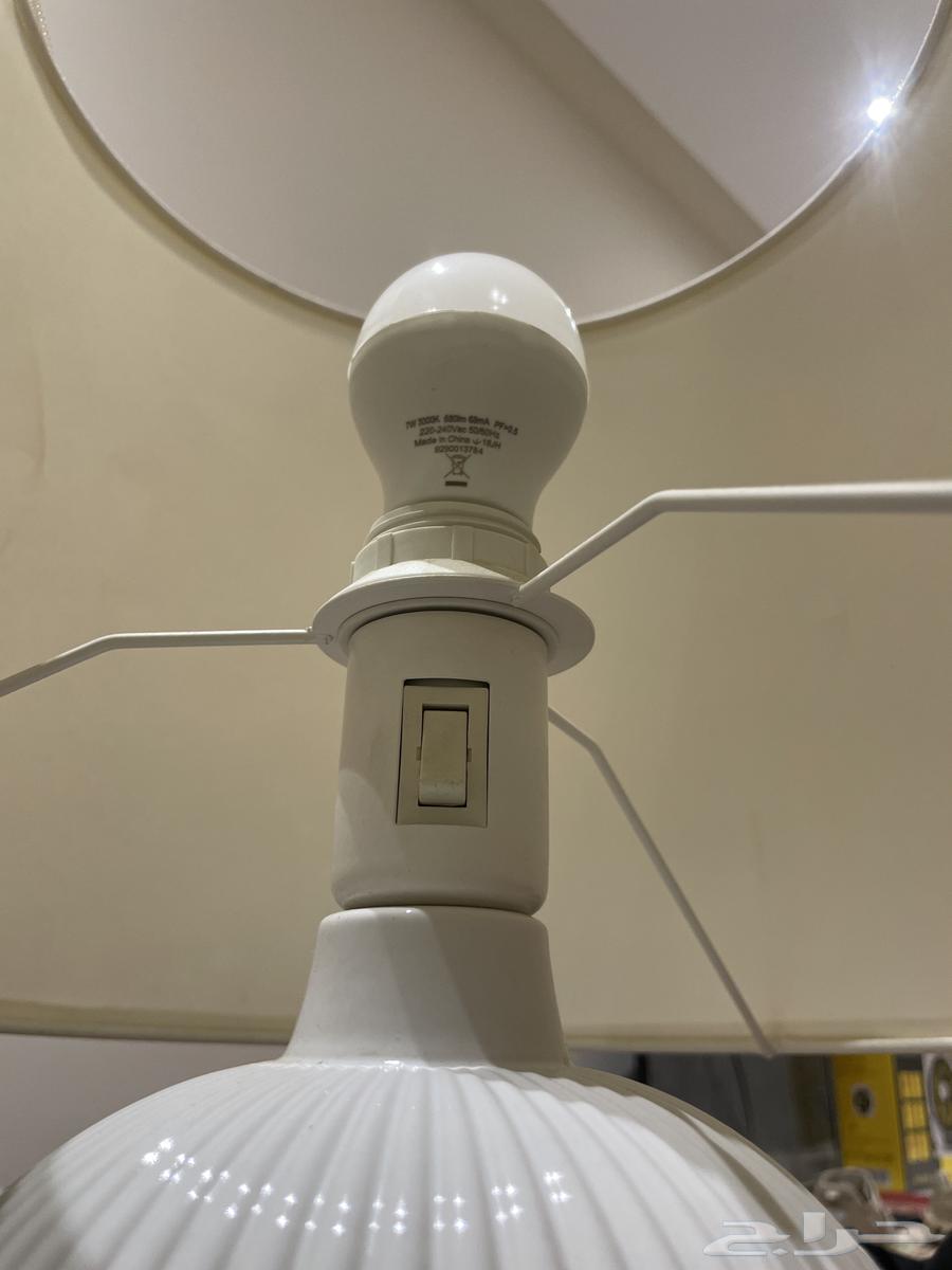 Seraya Jadeed 3064531365005825112