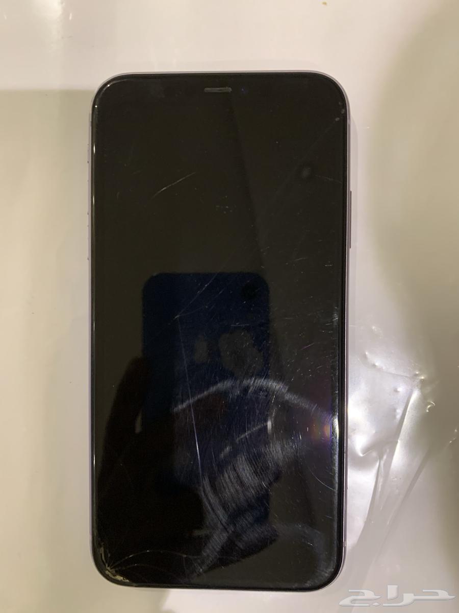 iPhone 11 Regular64534000795010112