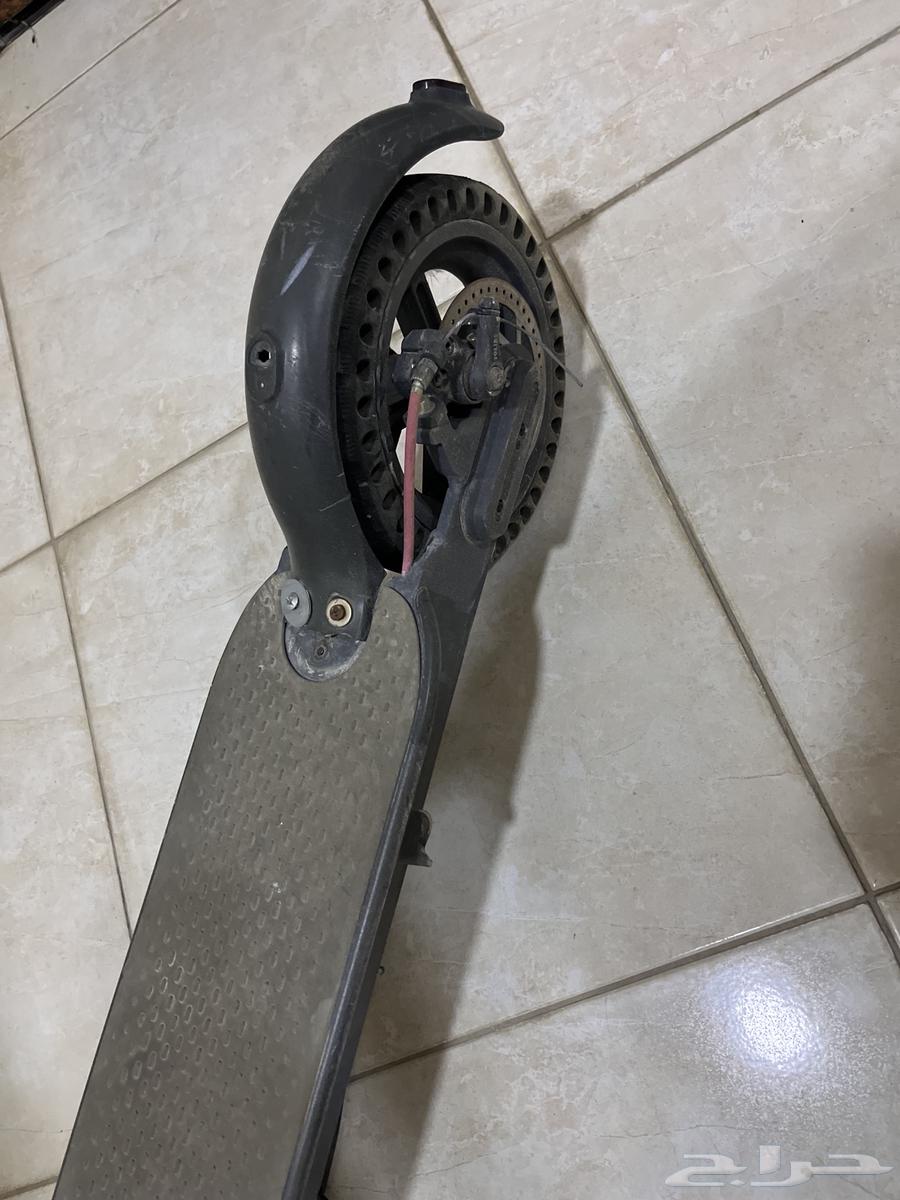 Scooter64532932379521114