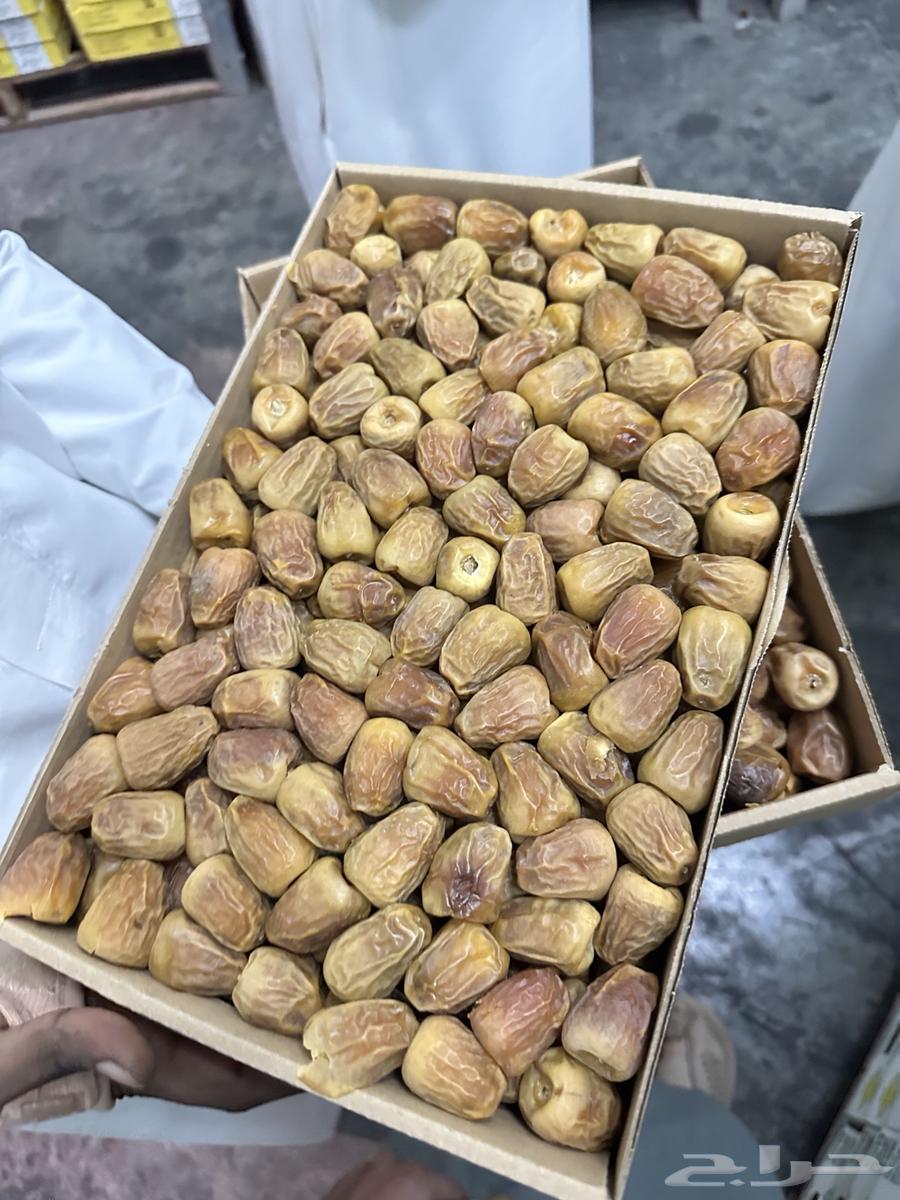 3-kilogram cracked sugar dates64529605548931111