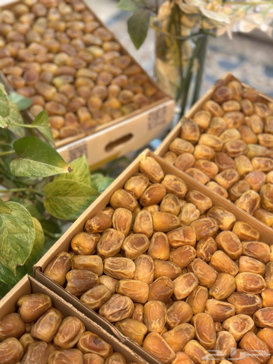 Al-Sukkari Number One Twisted Large Date, Special Season 4764530755536897111