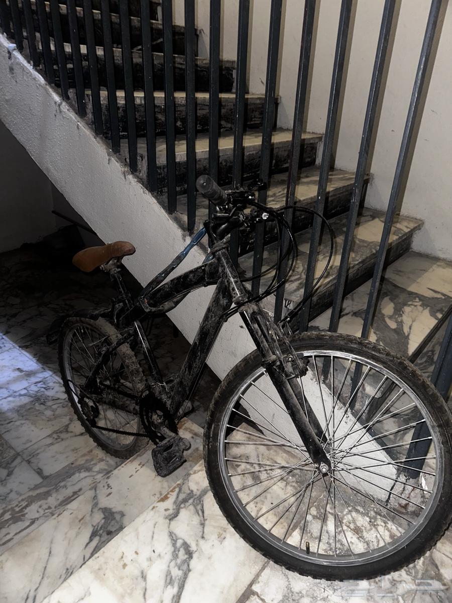 سيكل رياضي قير64533818143746110