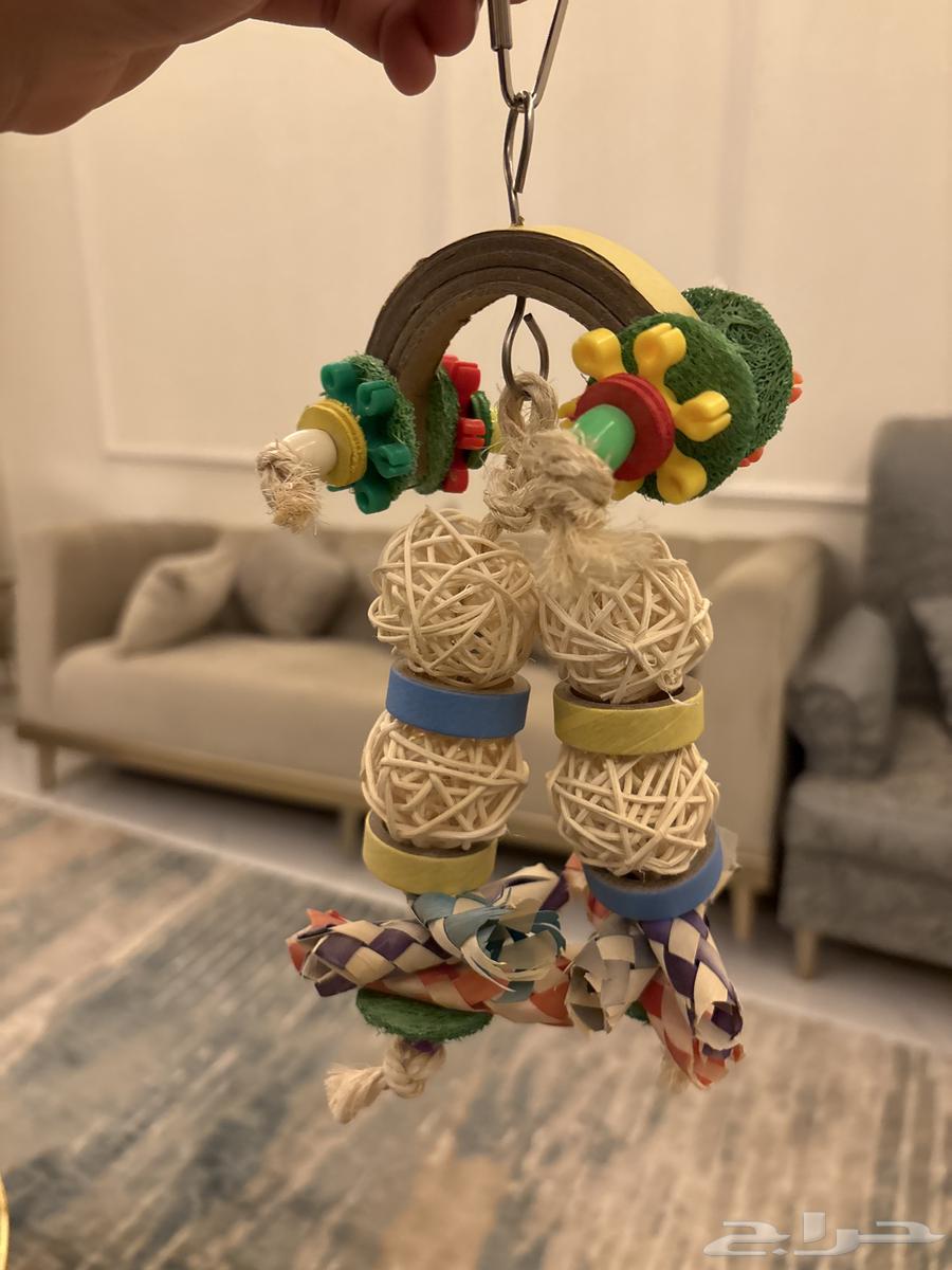 طير كروان للبيع64531972013826114