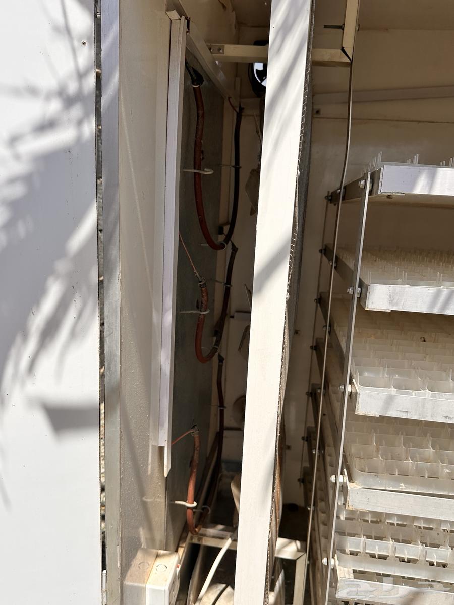 Automatic 2464 Egg Incubator64533204819586113