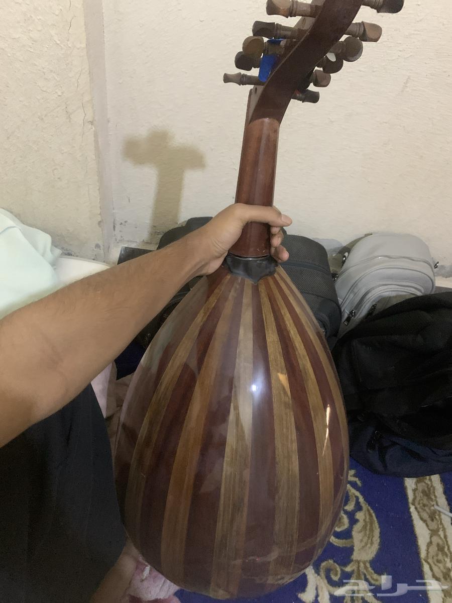 عود زرياب عراقي64529405489026111