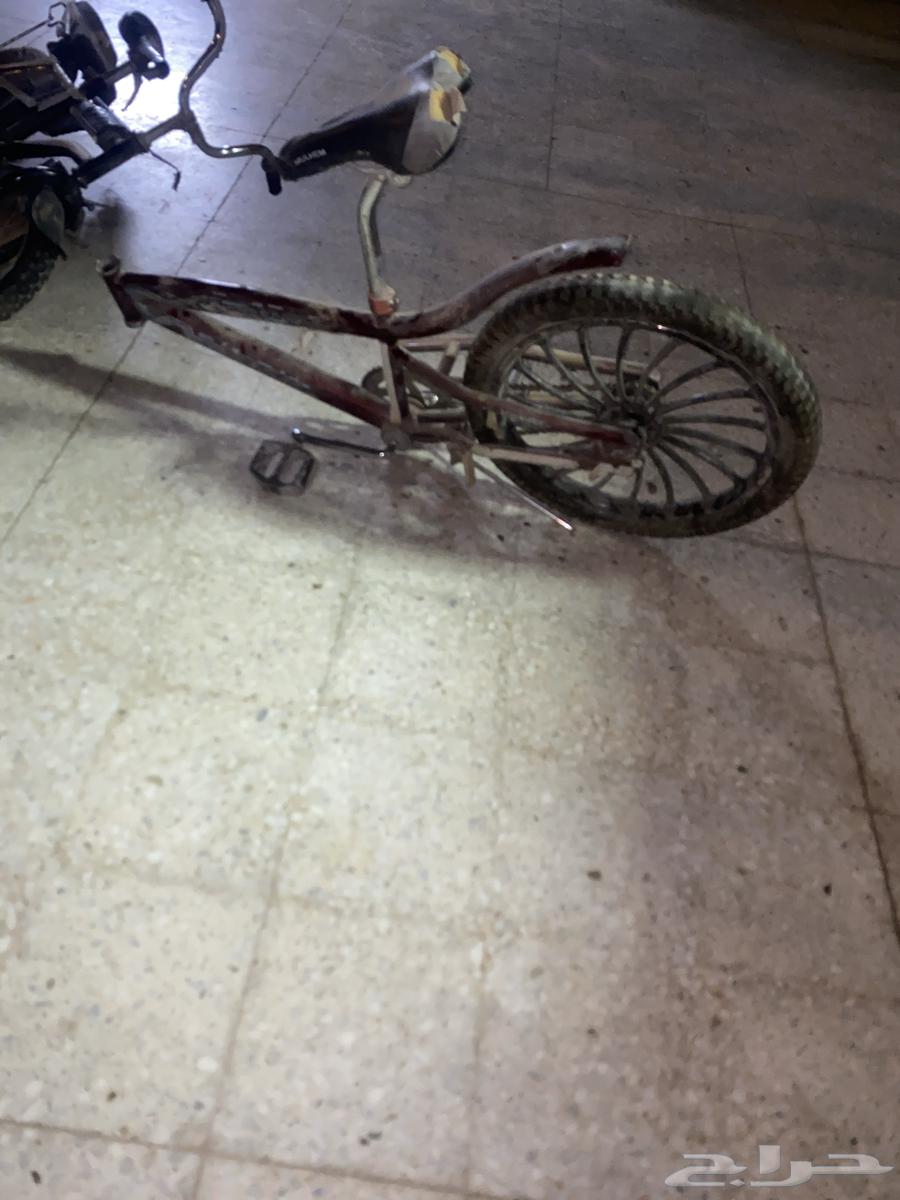 سياكل للبيع مستعمله64532889324033111