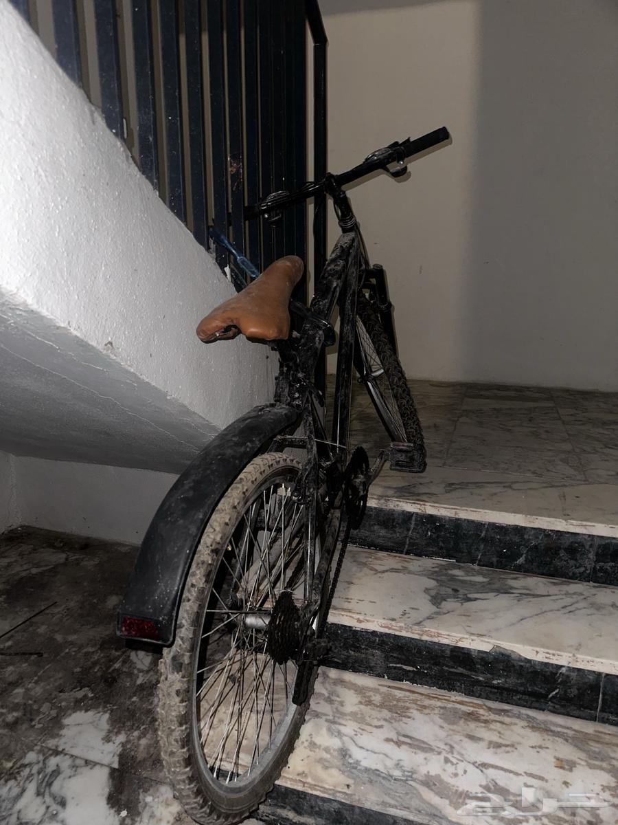 سيكل رياضي قير64533818143746111