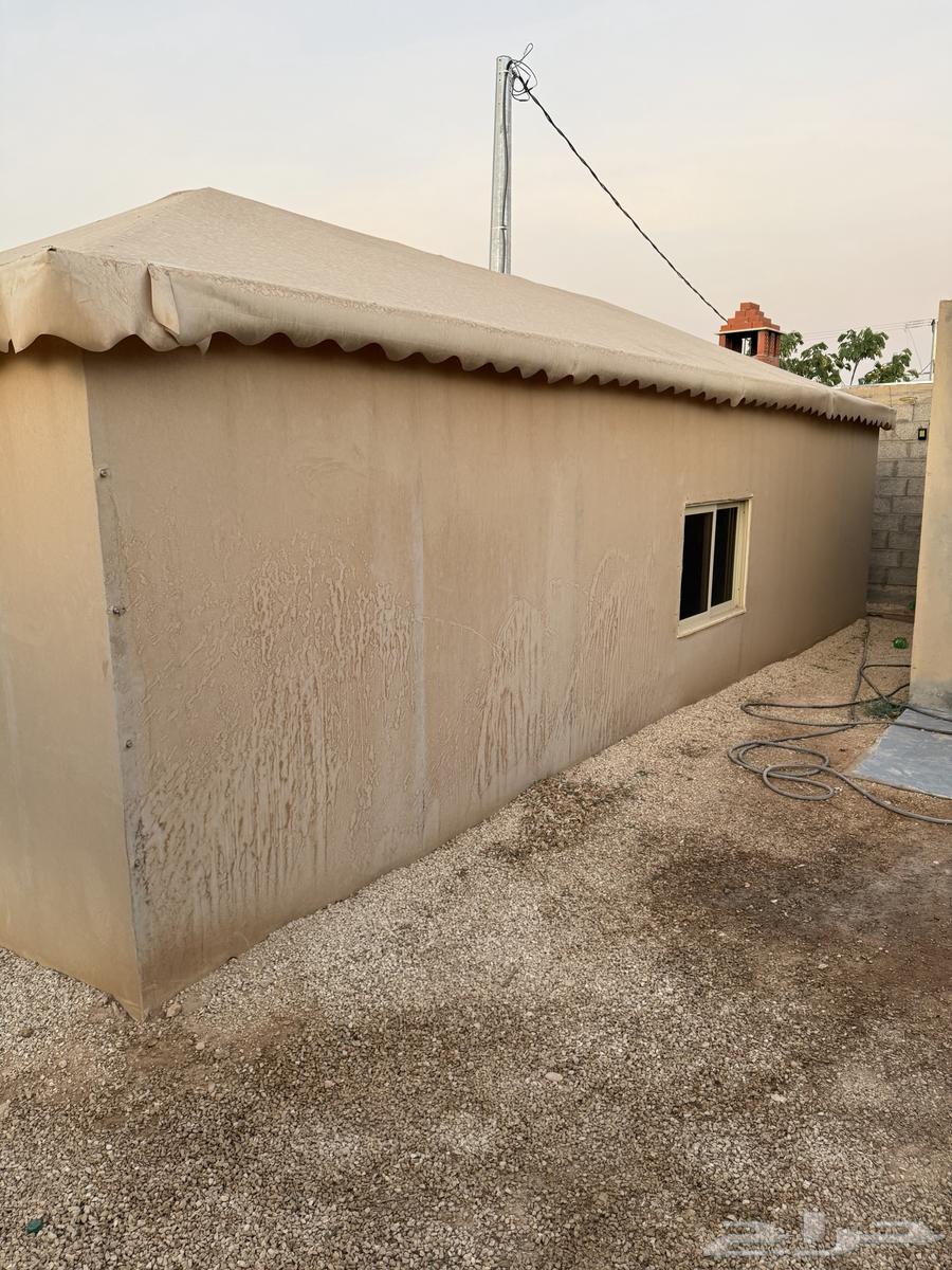 خيمة ملكي للبيع الاستخدام 4 سنوات او اقل بشوي64532565217409114