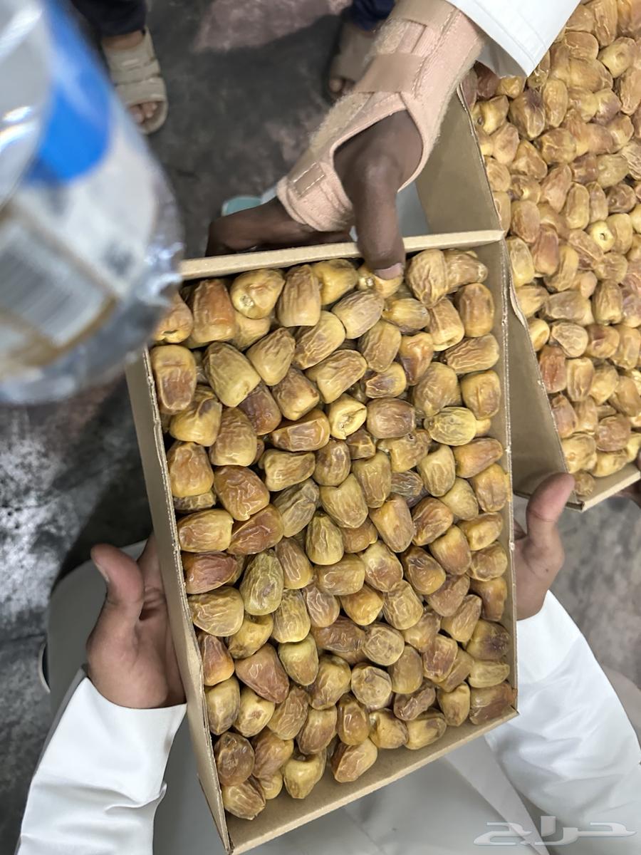 3-kilogram cracked sugar dates64529605548931113