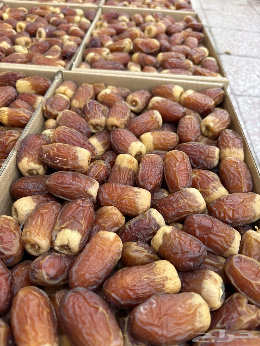 Premium moist dates64530501345154110