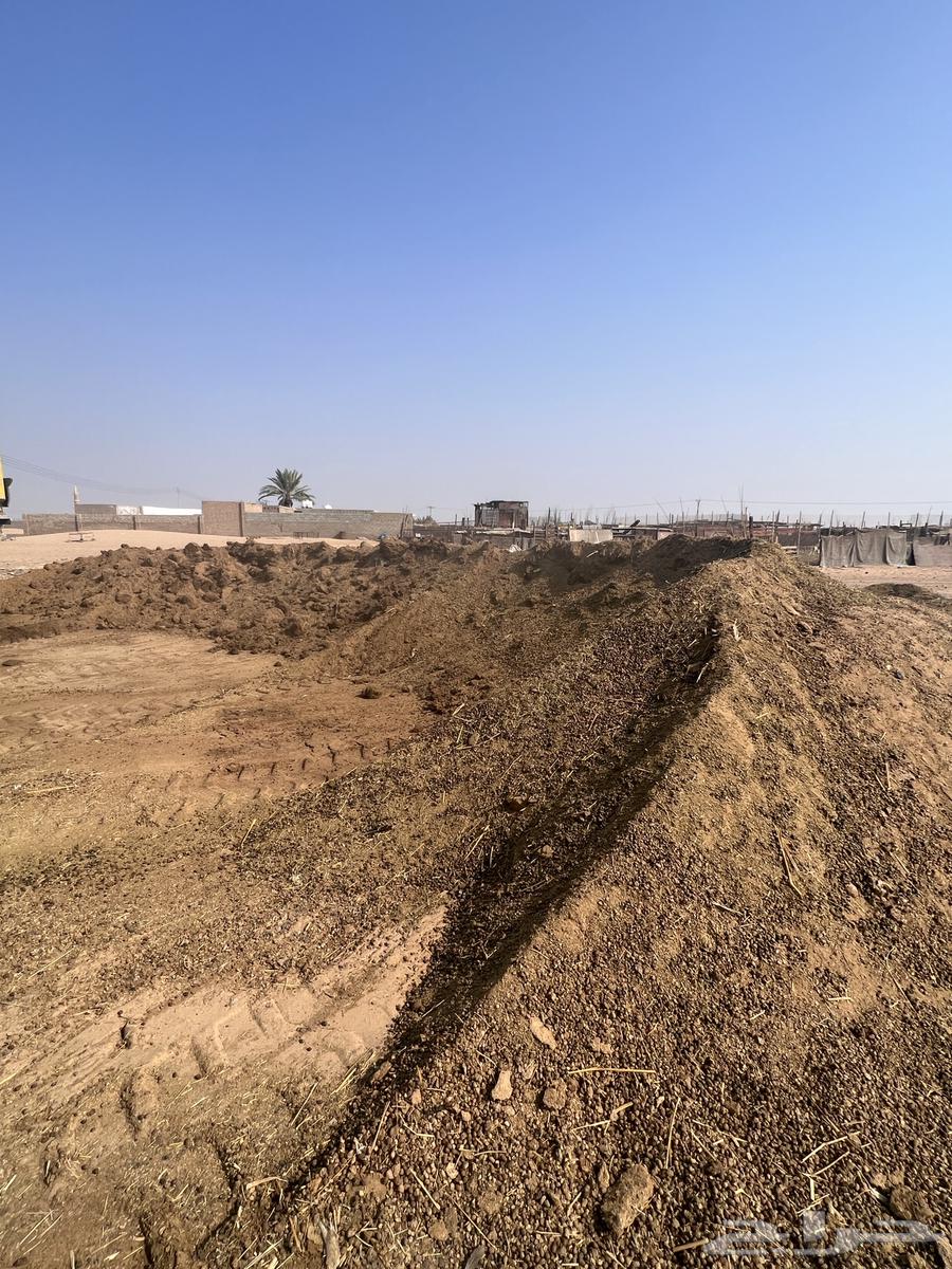 Sheep manure64534505004417111