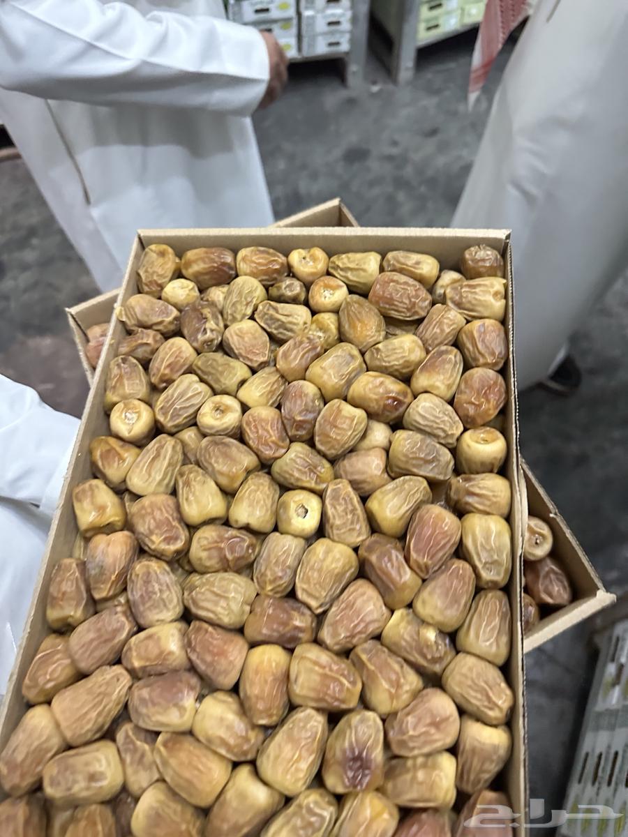 3-kilogram cracked sugar dates64529605548931110