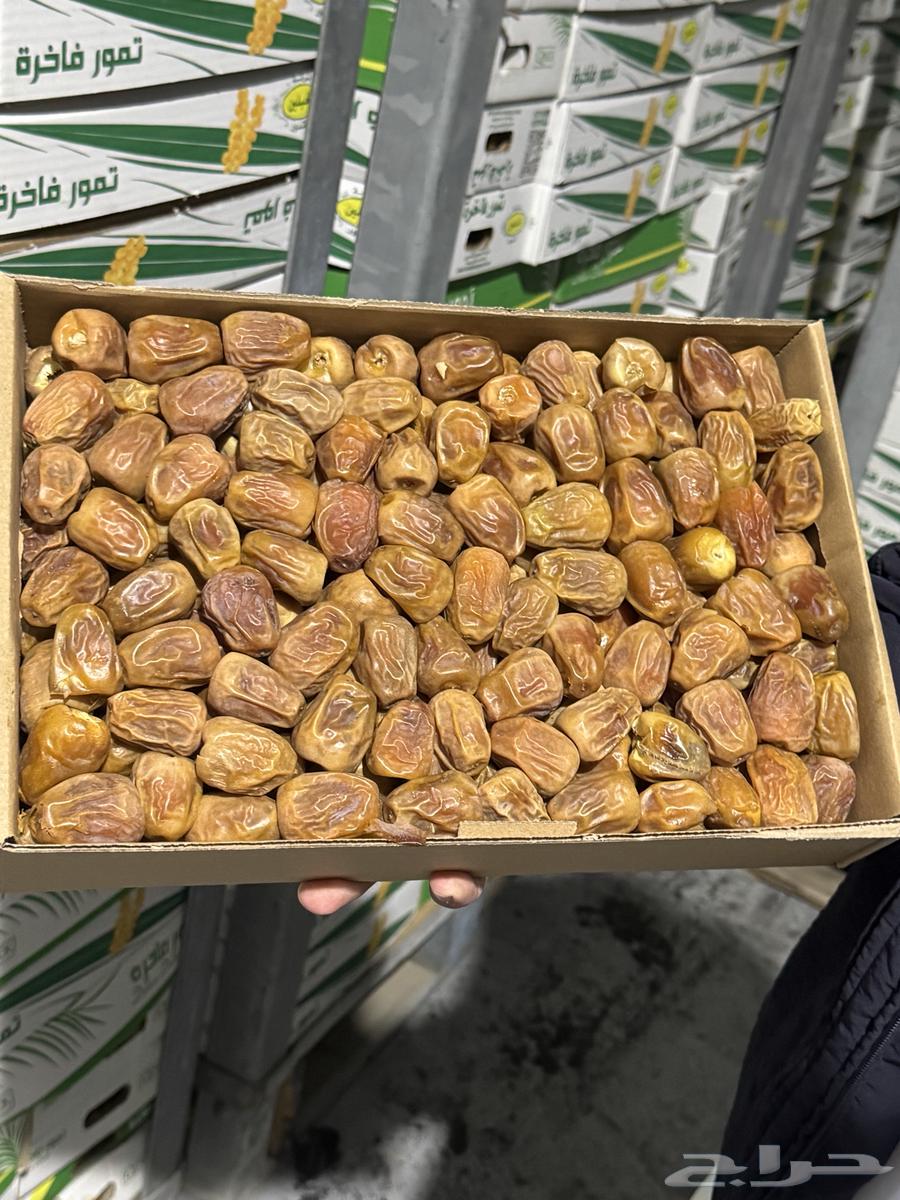 Sukkari Dates, Medium Size64527998157826110