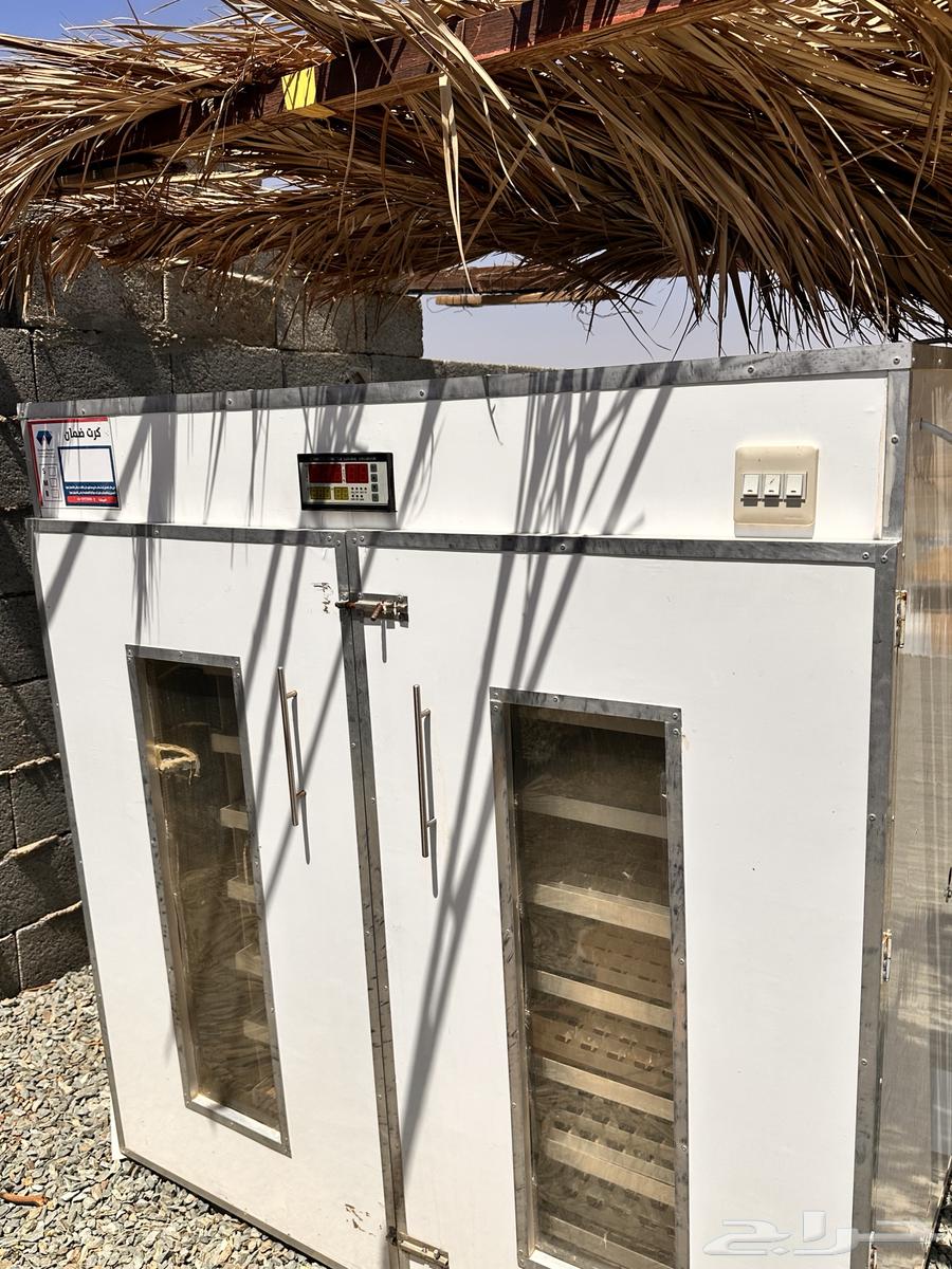 Automatic 2464 Egg Incubator64533204819586110