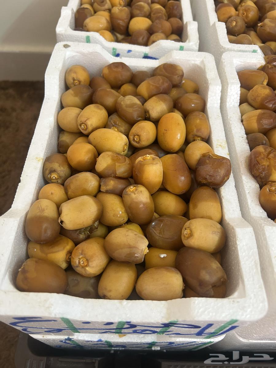 Dates64529136354947112