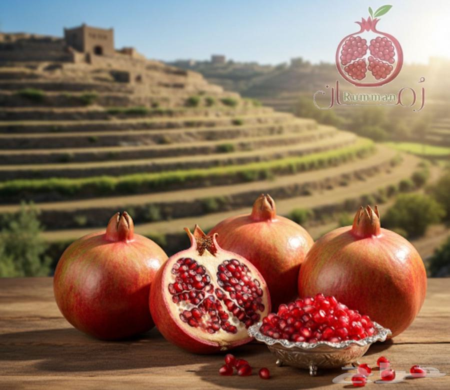 رمان الباحه الفاخر (بيده)64531463141122110