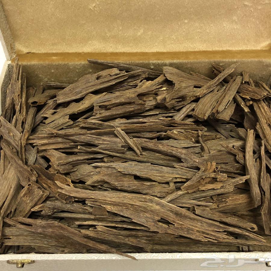 عود هندي فاخر64528351325057111