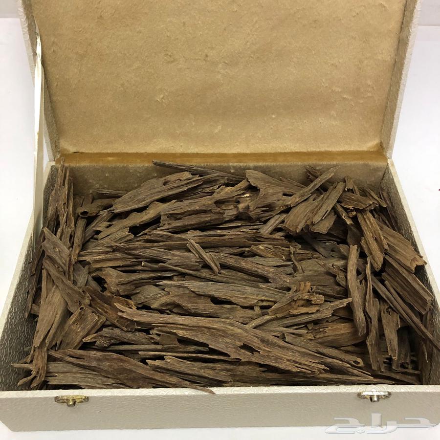 عود هندي فاخر64528351325057112