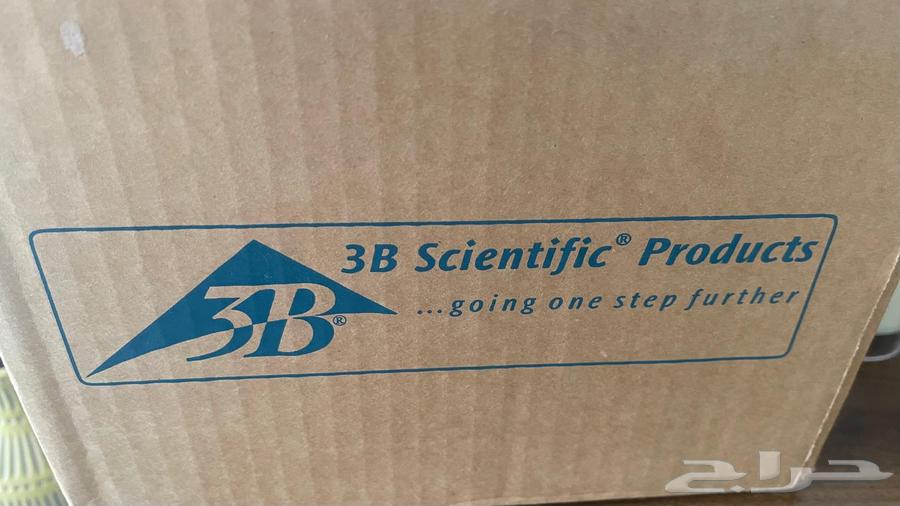 جمجمة تعليم صنع الماني استعمال خفيف جدا كان ه جديد64533747381889113