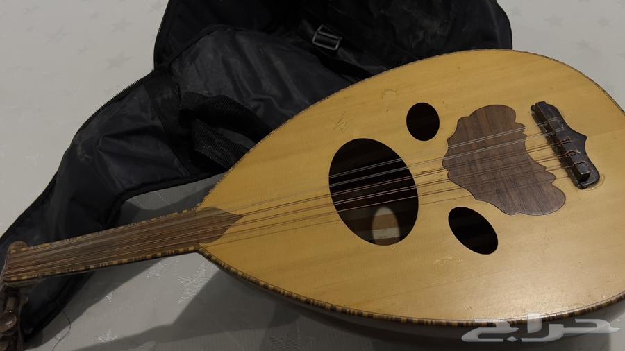 عود عراقي زرياب من الكويت64528012320898111