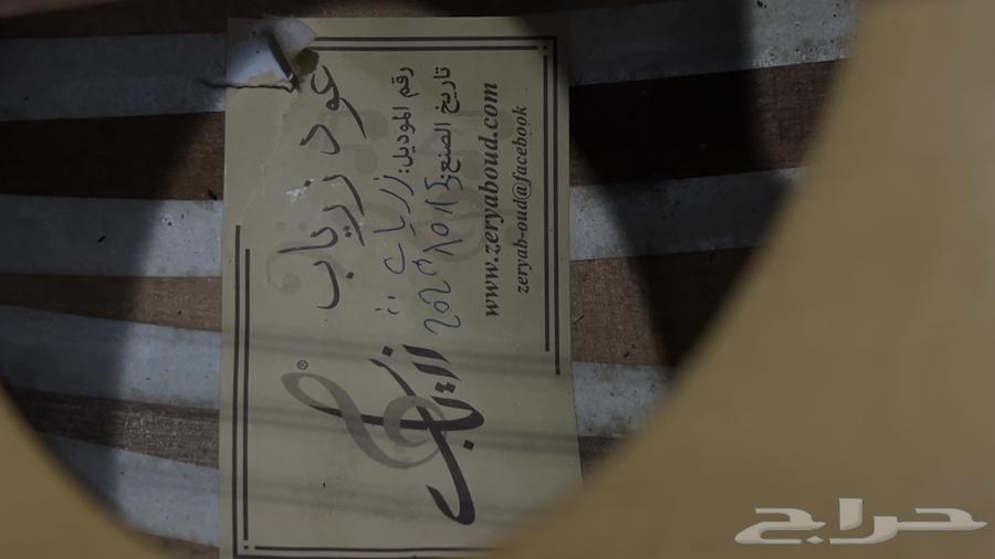 عود عراقي زرياب من الكويت64528012320898113