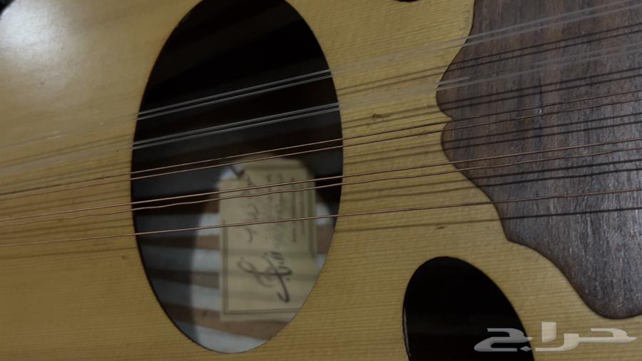عود عراقي زرياب من الكويت64528012320898112