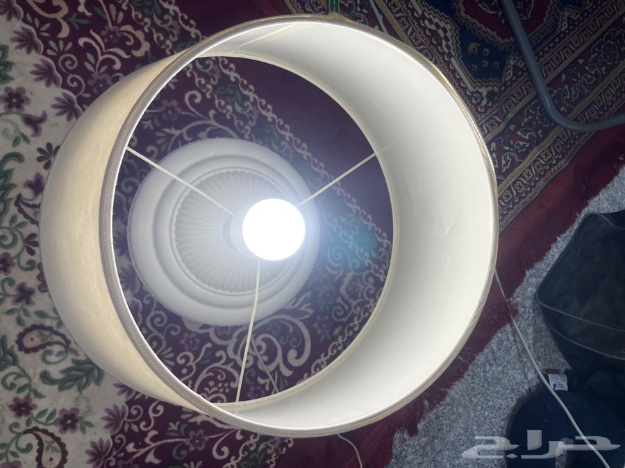 Seraya Jadeed 3064531365005825110