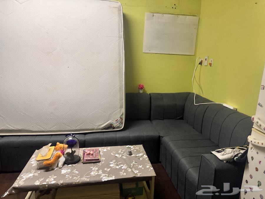 ركنه خامتها متينه و مرتبه طبيه مقاس 200 17064530303973507114