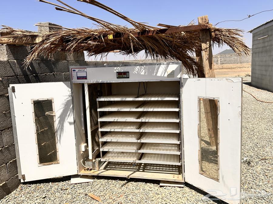 Automatic 2464 Egg Incubator64533204819586114