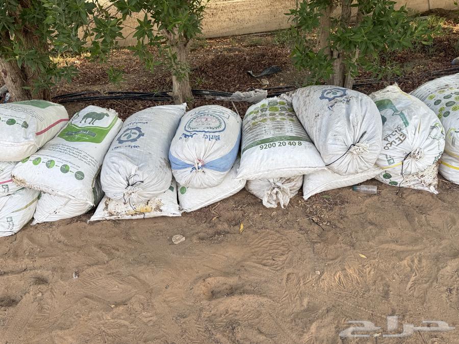 Tamr Nafee64531944238850112