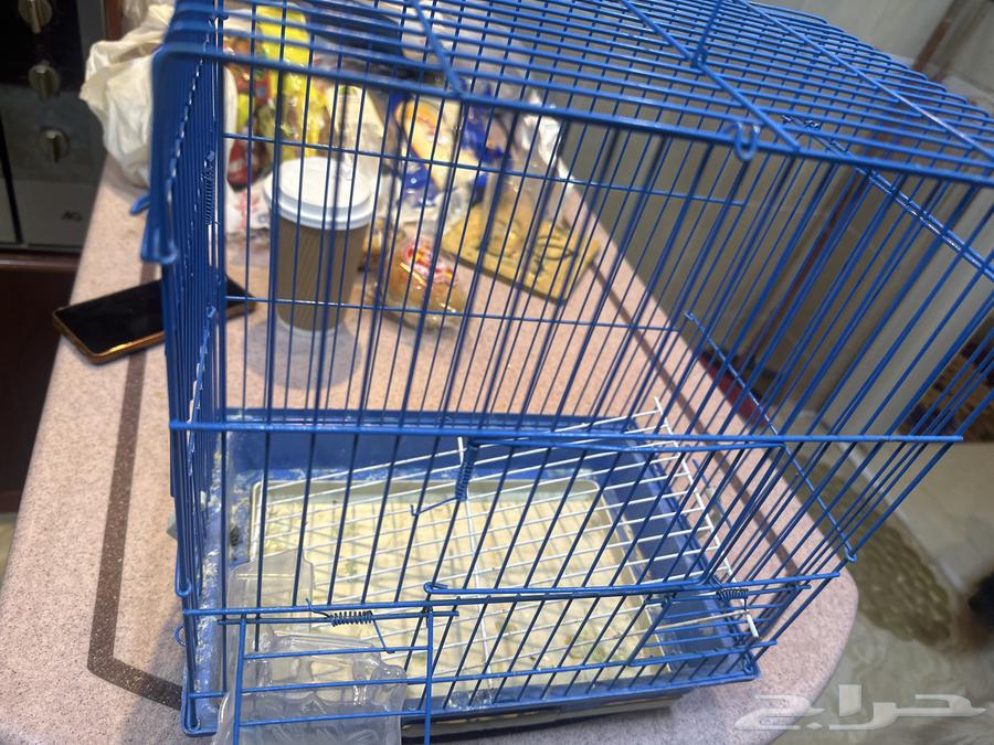 قفص طيور للبيع64533944350465111
