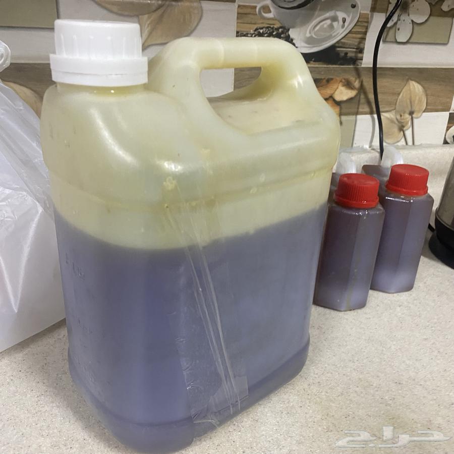 عسل سدر فاخر من الجنوب64532593483009110