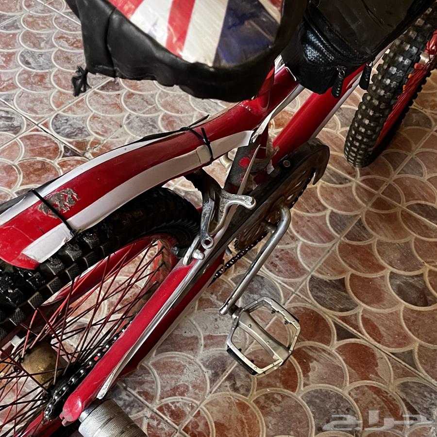 للبيع سيكل كوبرا64529854552067111