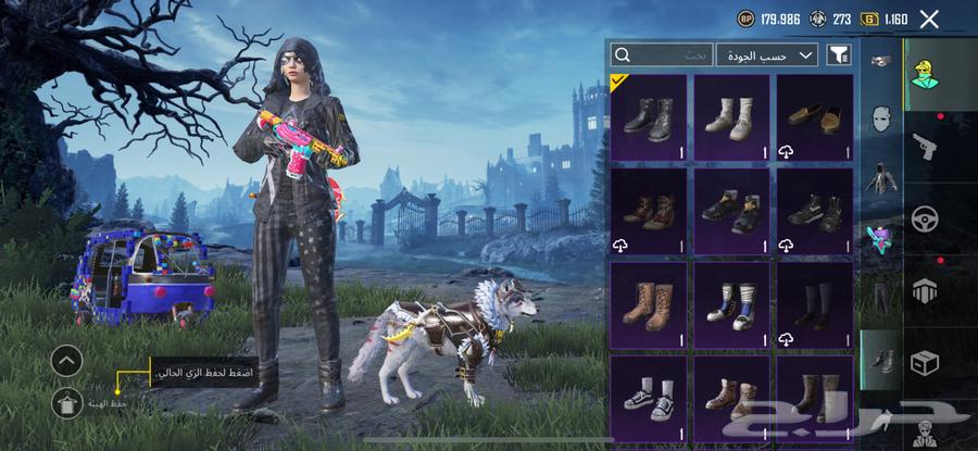 حساب ببجي العالميه للبيع64530911313537110