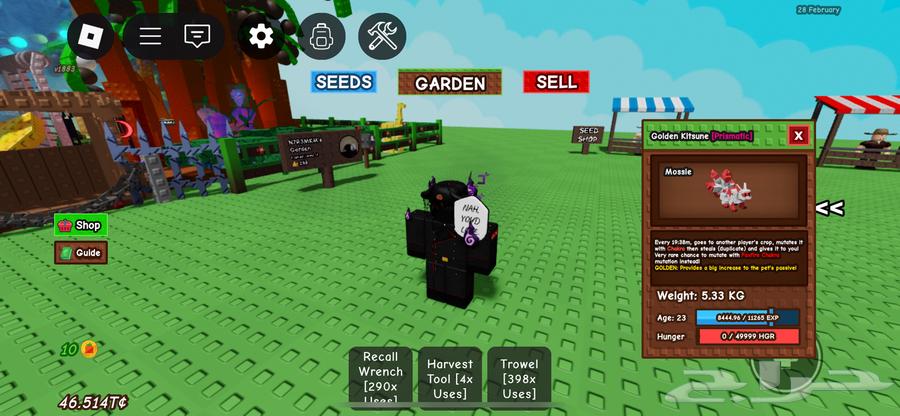 بت golden red kit حجمه ممتاز و عمره فقط 23 للبيع64532240894594111