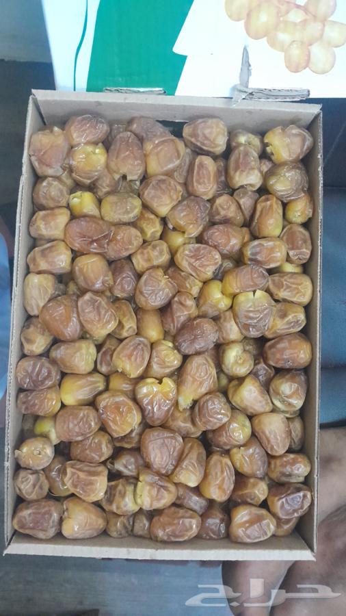 Miftal and Rutab64537965526147112