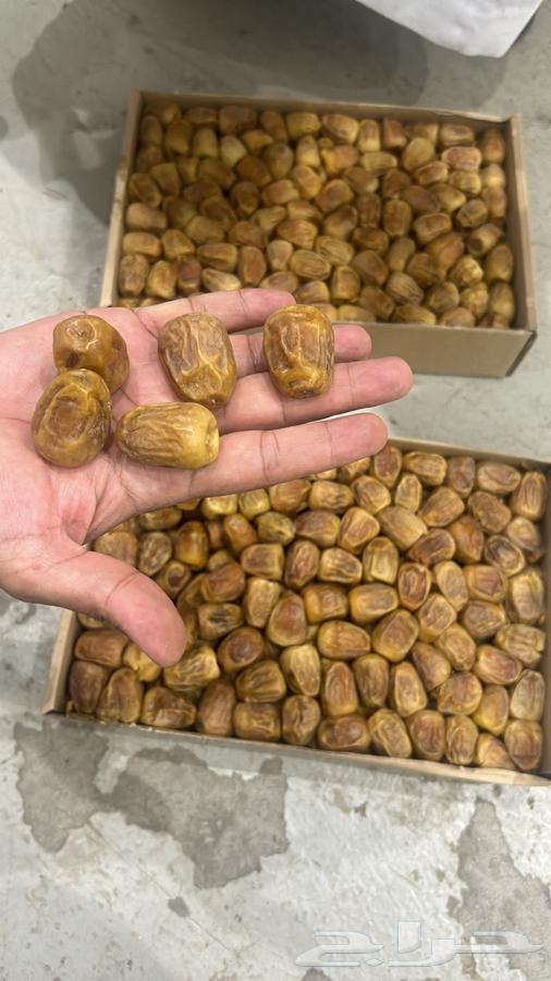 Miftal and Rutab64537965526147111