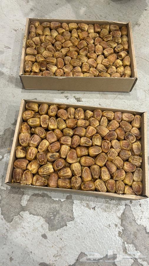 Miftal and Rutab64537965526147110