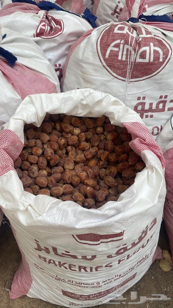 Nafie Date64529093048322110