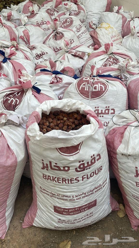 Nafie Date64529093048322112