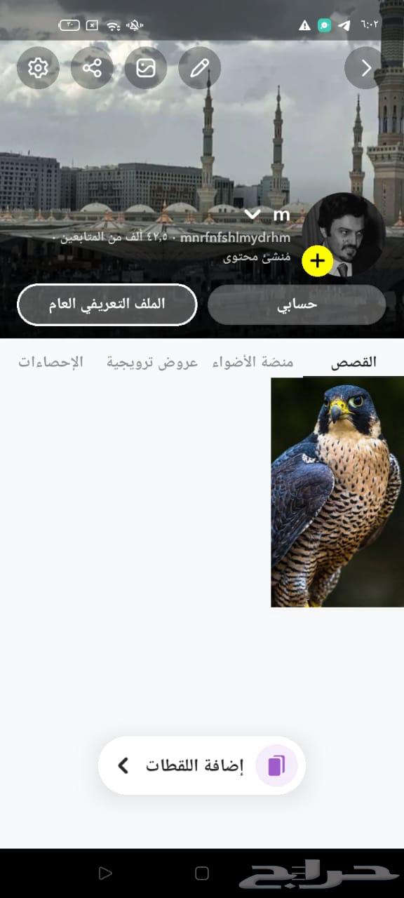 حسابات سناب شات للبيع64532635558273112