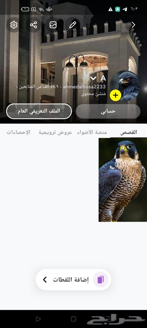 حسابات سناب شات للبيع64532635558273111