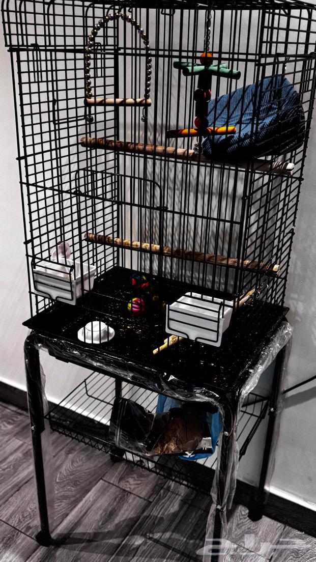 Cage for sale, clean, not a speck of dust in it64529938814723113