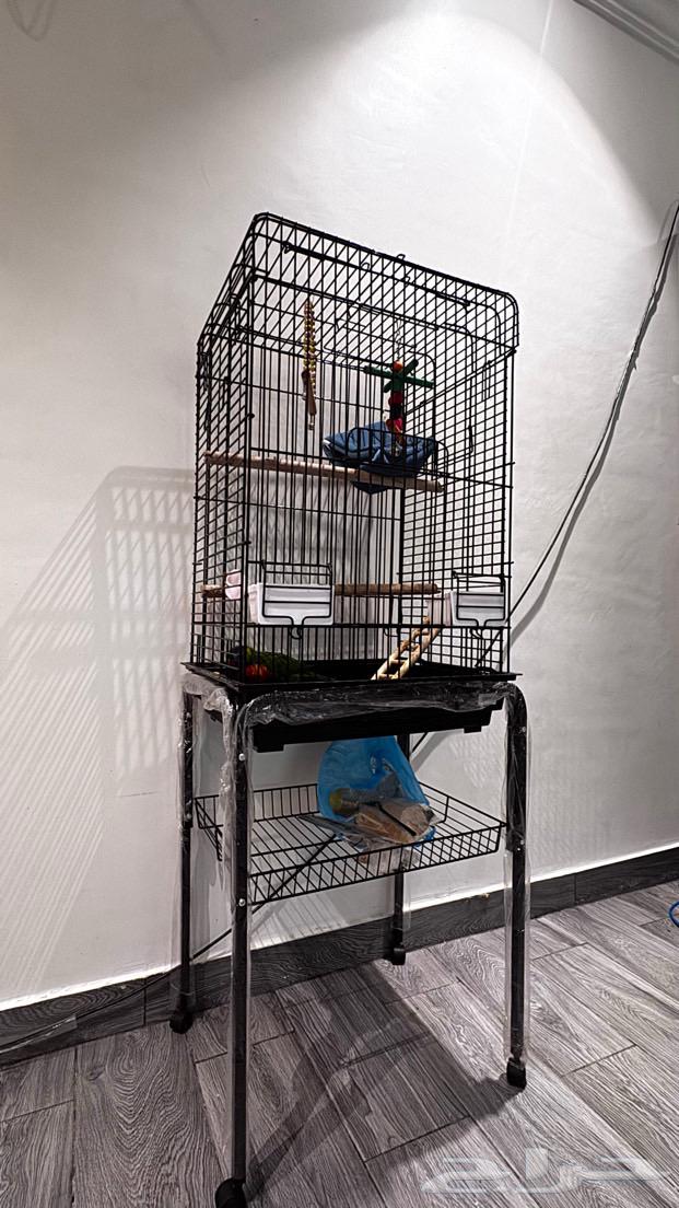 Cage for sale, clean, not a speck of dust in it64529938814723111