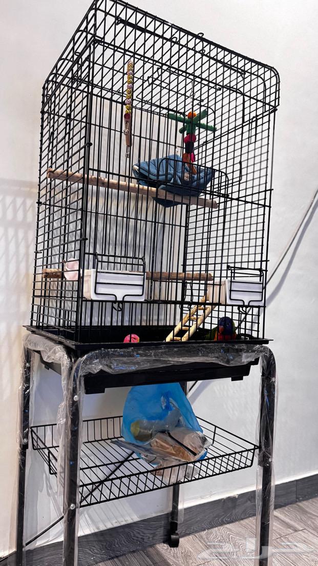 Cage for sale, clean, not a speck of dust in it64529938814723114