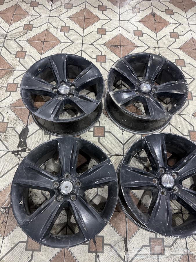 جنواط دراج مقاس 1864533133472770110