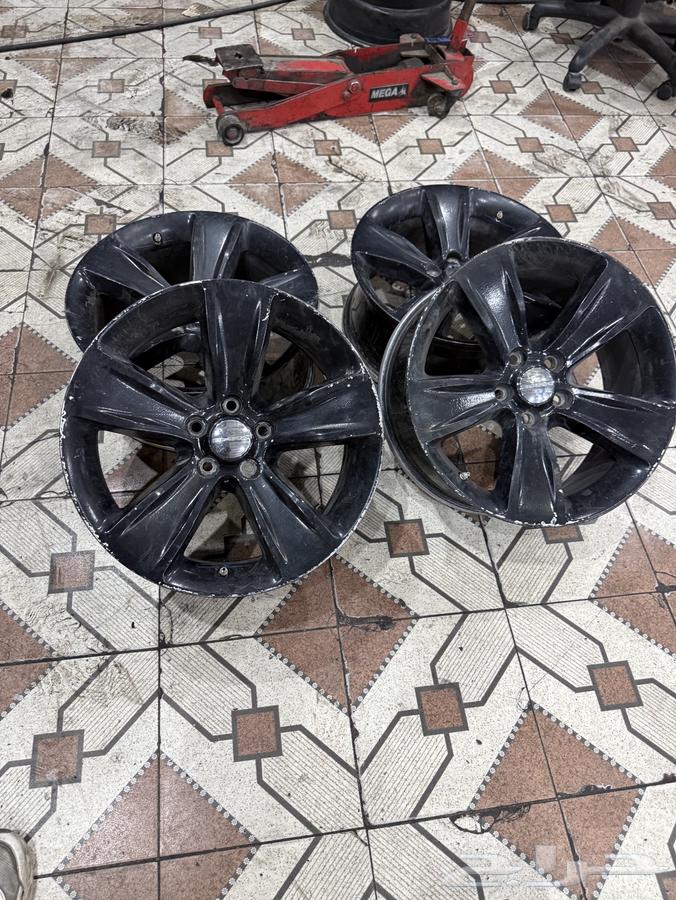 جنواط دراج مقاس 1864533133472770113