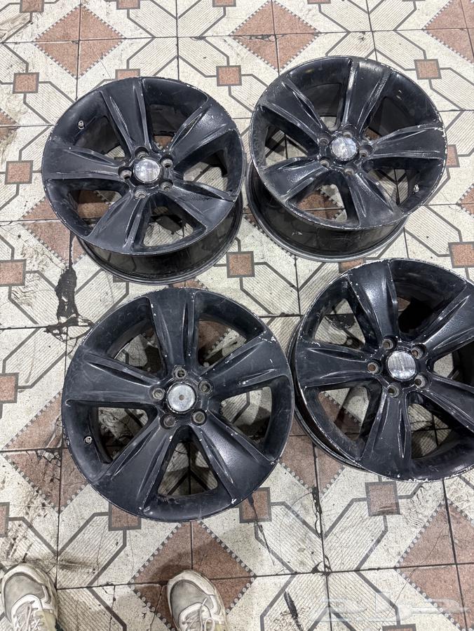 جنواط دراج مقاس 1864533133472770112