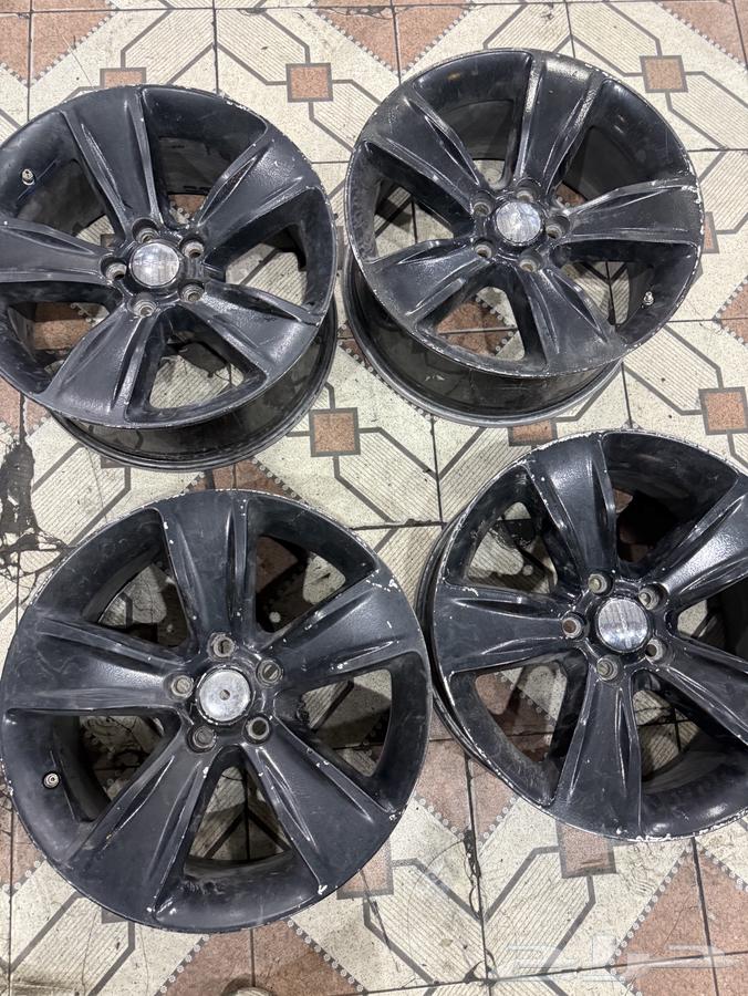 جنواط دراج مقاس 1864533133472770114