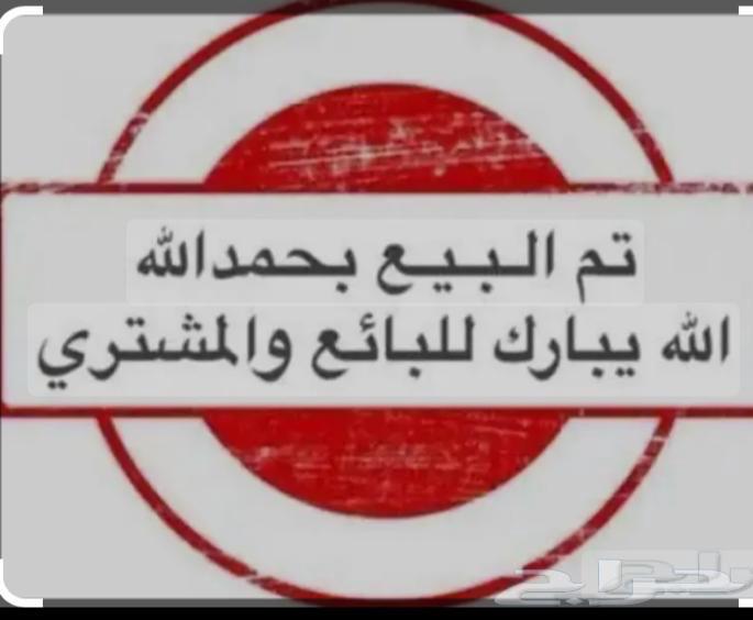 صيصان بلدي64450510005506110